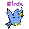 Birds Games