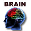 Brain Games