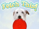 Fetch This