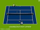 Gamezastar Open Tennis