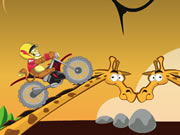 Super Bike Jungle
