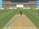 cricket-academy.gif