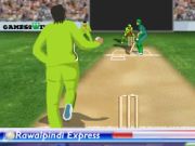 Chhota Bheem's Target Practise