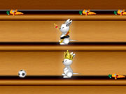 Rabbit Race