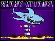 Shark Attack Shark Attack
