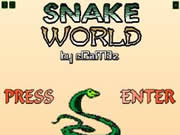 Snake World