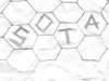 Sota