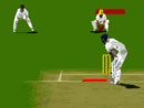 virtual-cricket.gif