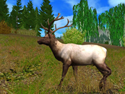 Hunting Unlimited