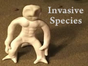 Invasive Species