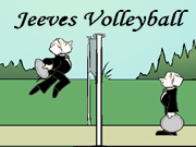 Jeeve's Volleyball