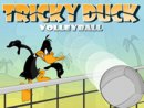 Tricky Duck Volleyball