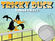 Tricky Duck Volleyball