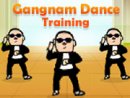 Gangnam Dance Training
