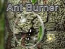 Ant Burner