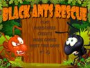 Black Ants Rescue