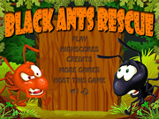 Black Ants Rescue