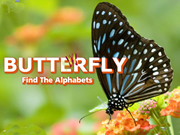 Butterfly - Find the Alphabets