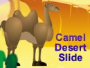 Camel Desert Slide