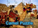 Camel Puzzle