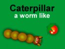 Caterpillar, a worm like