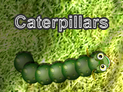 Caterpillars