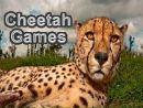 Cheetah Games