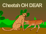 Cheetah OH DEAR