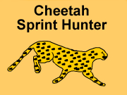 Cheetah Sprint Hunter