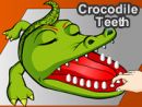 Crocodile Teeth