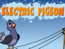 Electric Pigeon