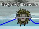 Hedgehog Launch 2