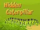 Hidden Caterpillar
