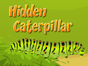 Hidden Caterpillar