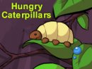 Hungry Caterpillars