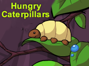 Hungry Caterpillars