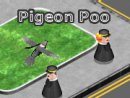 Pigeon Poo