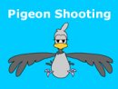 Pigeon Shooting