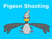 Pigeon Shooting