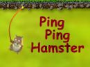 Ping Ping Hamster