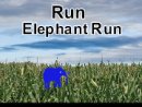 Run Elephant Run