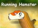 Running Hamster