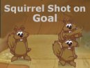 Squirrel Shot on Goal