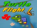 Turtle Flight