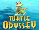 Turtle Odyssey