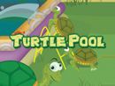 Turtle Pool