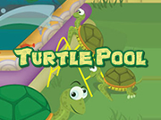 Turtle Pool