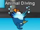 Animal Diving