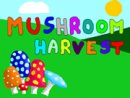 Mushroom Harvest