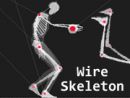 Wire Skeleton